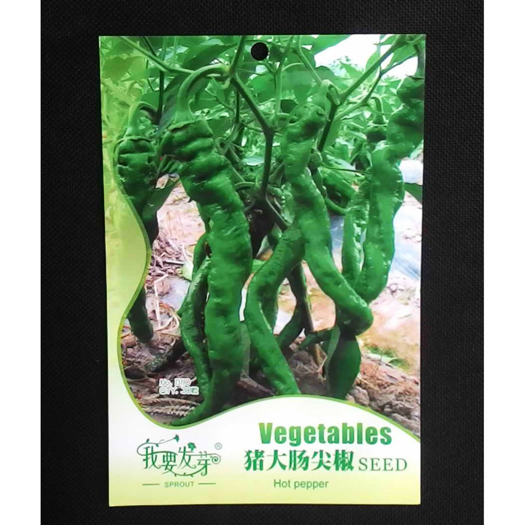 

Terlaris Cabai Hot Pepper Grosir