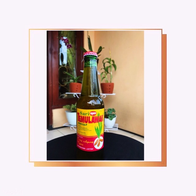 

Temulawak Tirta Agung