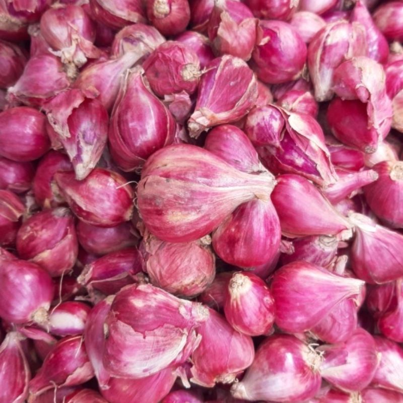 

Bawang merah brebes super 1 kg