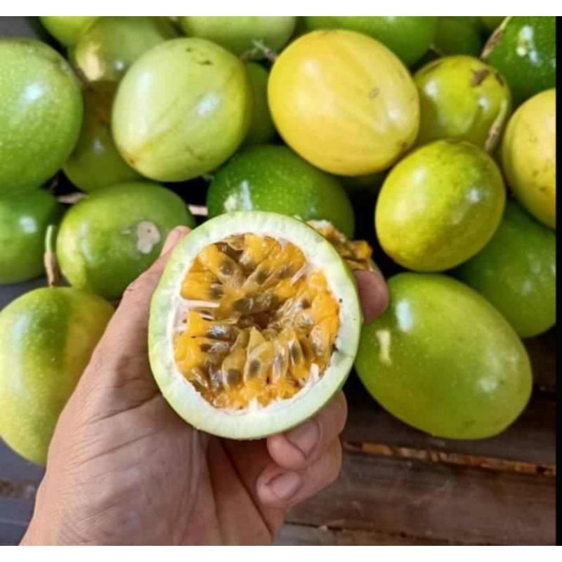 

Buah markisa kuning segar matang langsung dari pohon 1kg