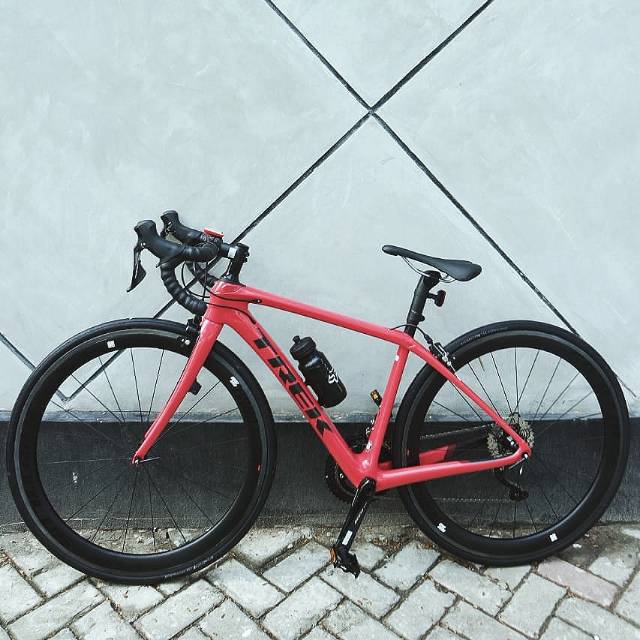 trek domane harga