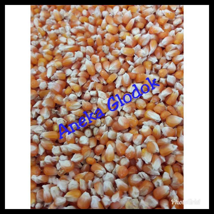 

Indh Jagung Kristal/Jagung Madura 1Kg Berkualitas Kode 282