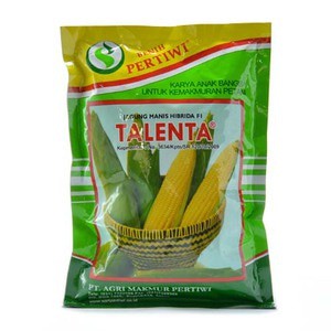 Benih Jagung manis TALENTA 250 gram  Shopee Indonesia