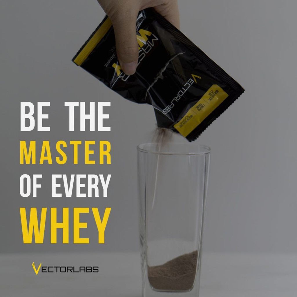 Vectorlabs Master Whey 12 Sachet Suplemen Susu Protein Whey Isolate Concentrate