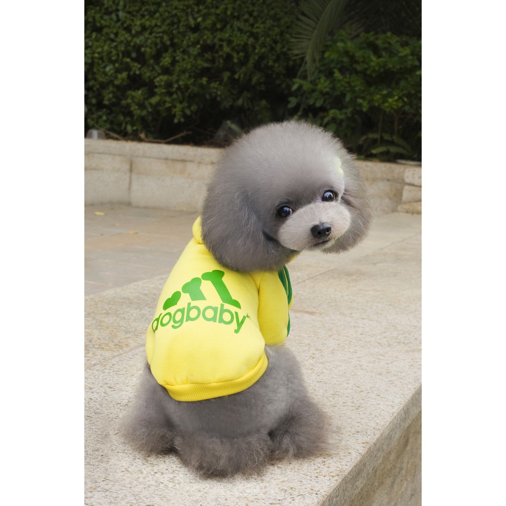 Pet Clothes AdiDog Baby - Jacket/ Baju Anjing &amp; Kucing Adidog.