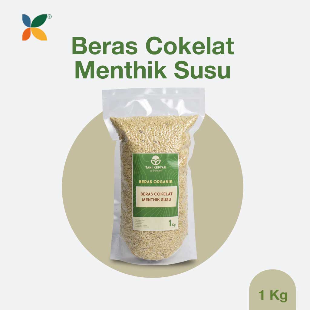 

Beras Cokelat Organik Menthik Susu | Beras Organik Premium kemasan vakum