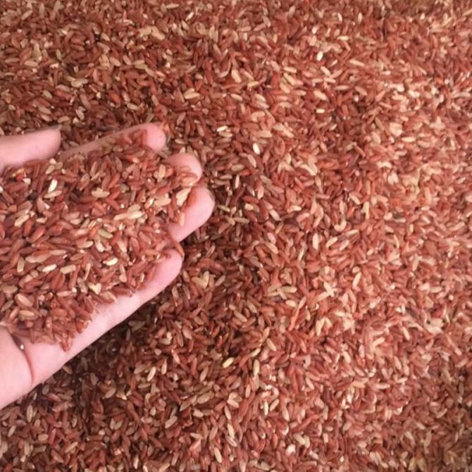 

♥MURAH LEBAY♥ Beras Merah Murah 1 Kg Untuk Konsumsi harga bersaing