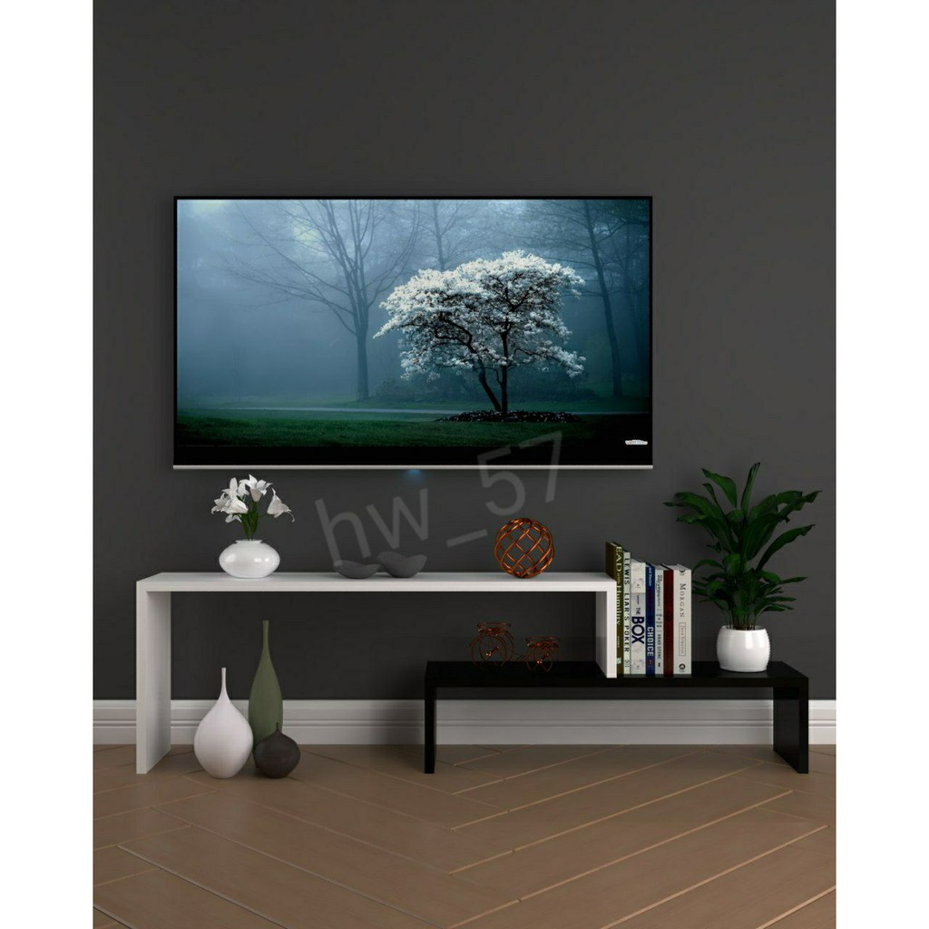 MEJA TV RAK TV HIASAN DINDING HIASAN TV RAK DINDING MEJA TV MINIMALIS