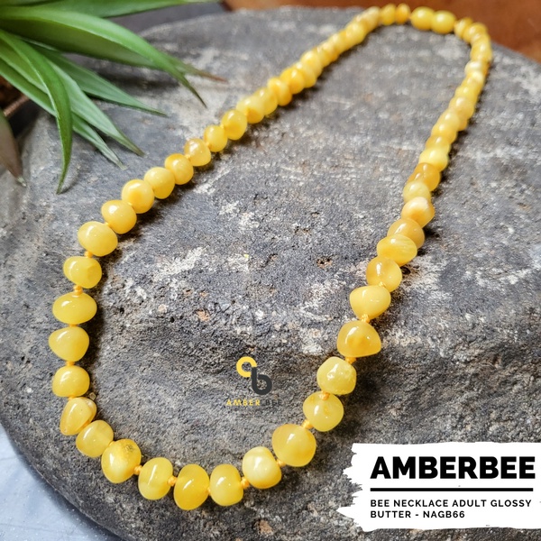 Kalung Amber Dewasa Premium Glossy Butter by Amber Bee NAGB66