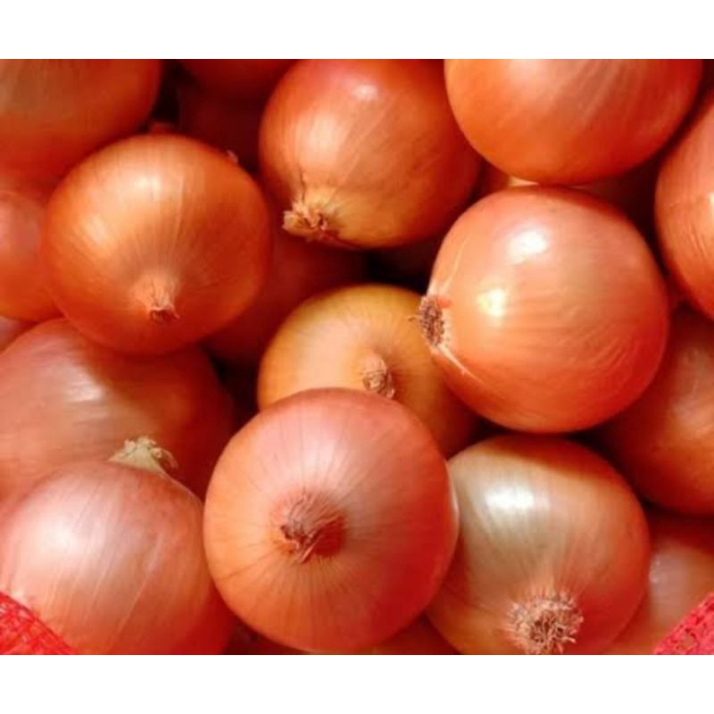 

BAWANG BOMBAY PER 250 GR SAYUR SEGAR PALEMBANG