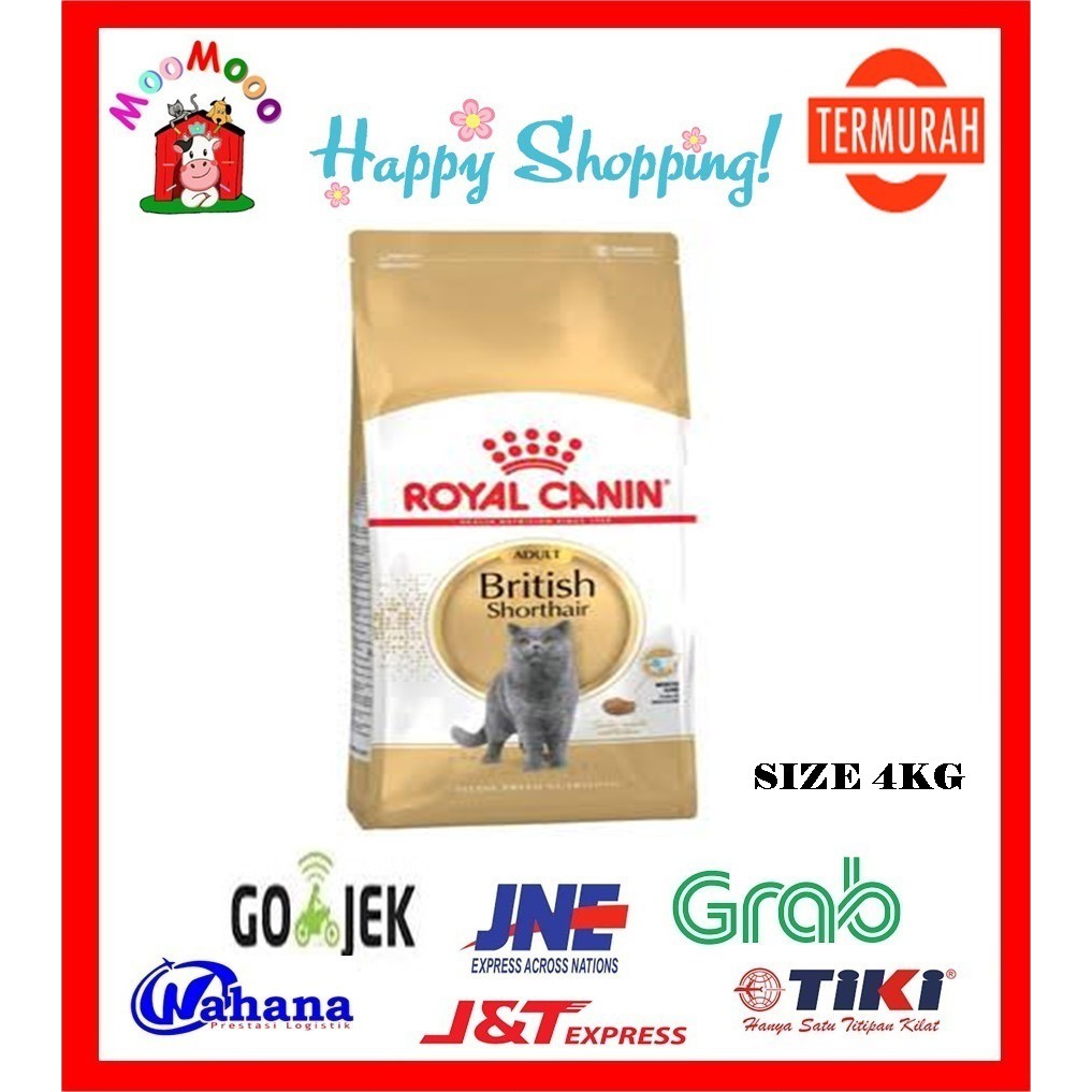 Royal Canin Adult British Shorthair 4Kg - Makanan Kucing