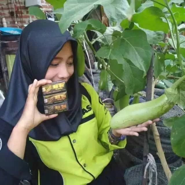 MAK URUT NASA