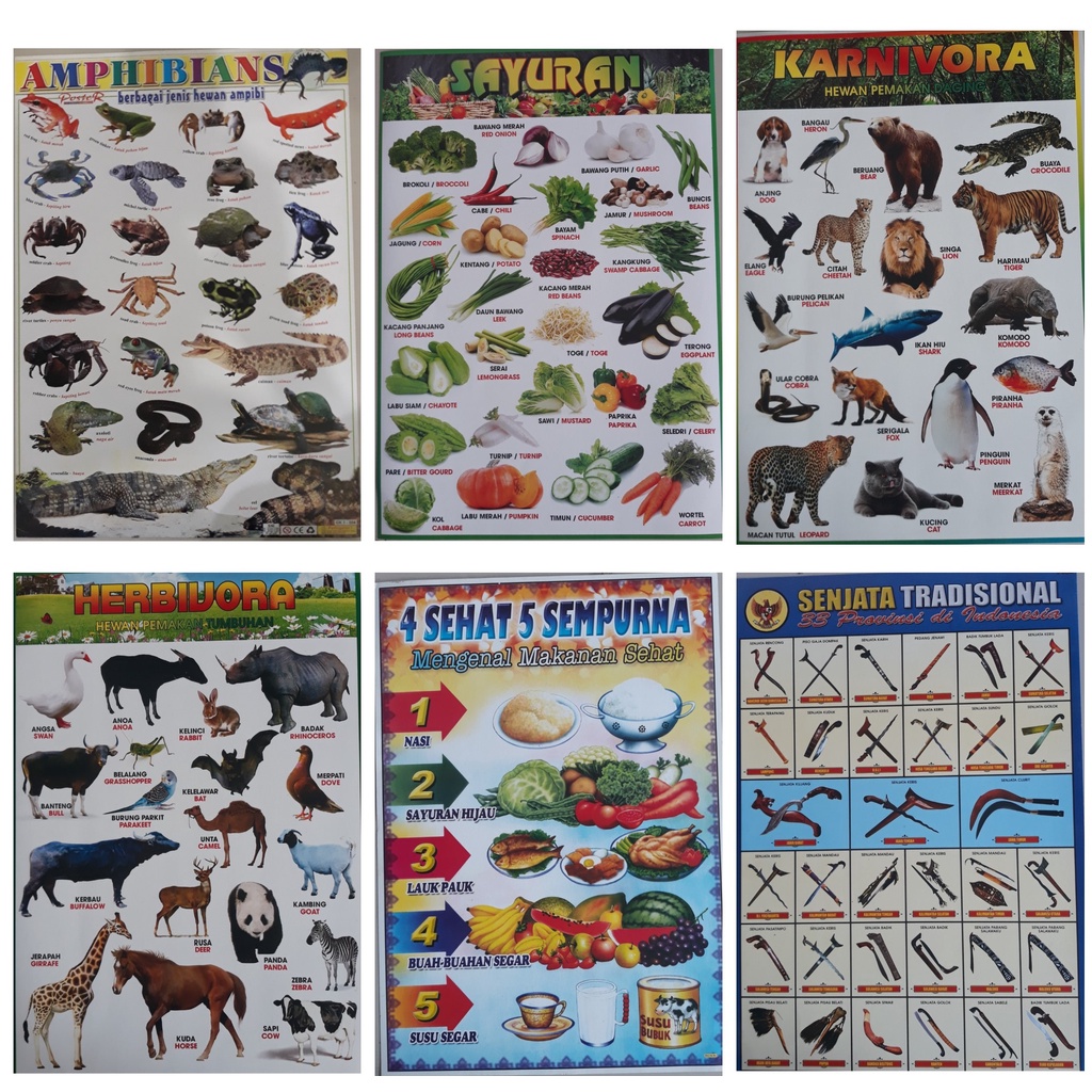 

6 POSTER : AMPHIBIANS, SAYURAN, KARNIVORA, HERBIVORA, EMPAT SEHAT 5 SEMPURNA, SENJATA TRADISIONAL