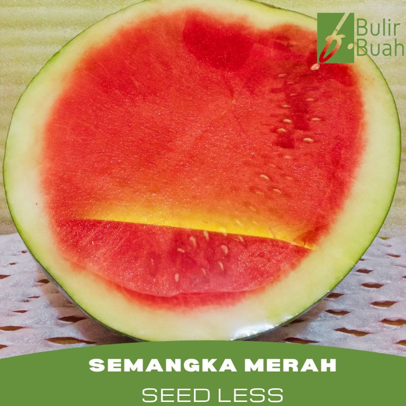 

Buah Segar Semangka Merah Seed Less/Pack (-3Kg)