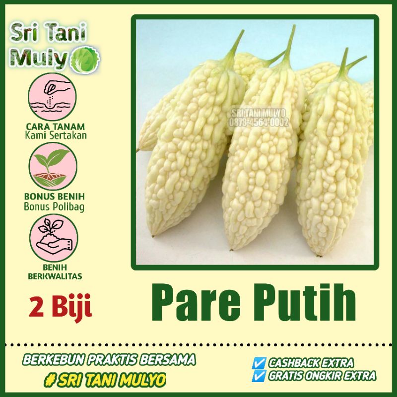 Benih Bibit Pare Putih HIGH MOON - Bibit Tanaman Sayur Sayuran Pare Paria Unik Pare Raden Gambas HAG