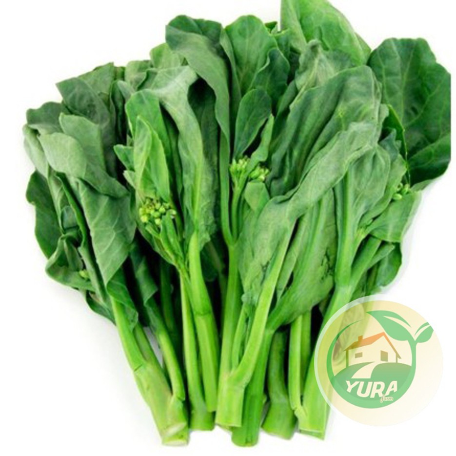 

KAILAN Organik 100% Sayur Segar Organic