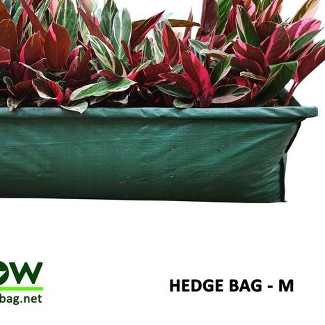 ✵ Hedge Planter Bag (Medium) ▼