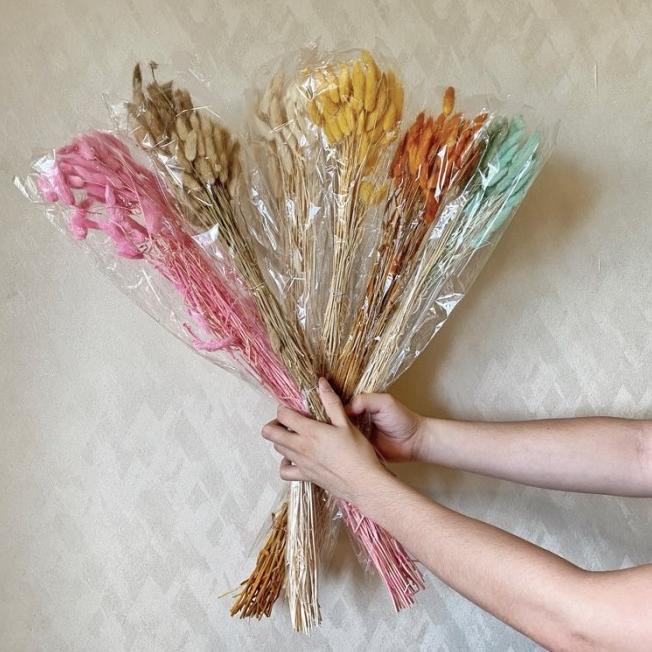 

HITZ 2021 DAUN KERING LAGURUS