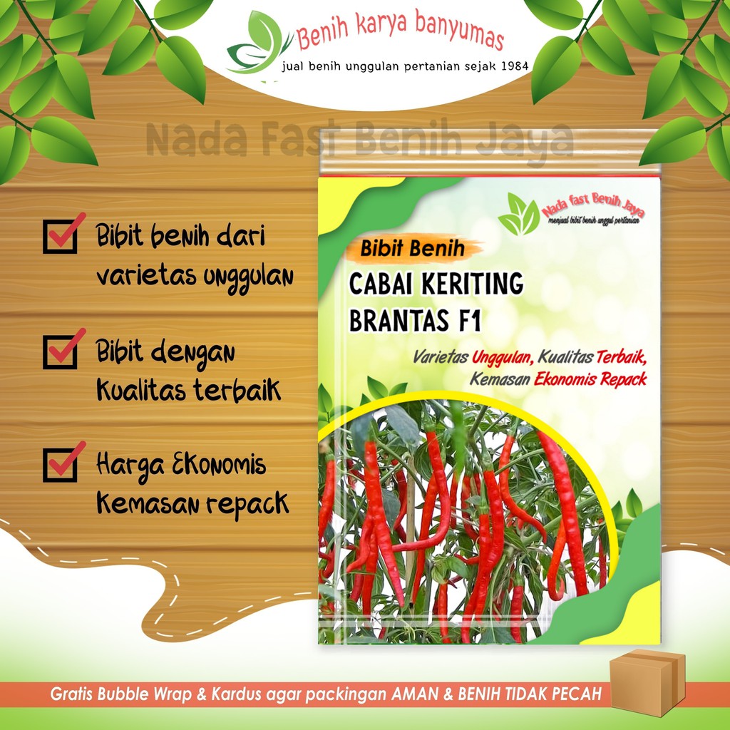Benih cabe merah keriting brantas F1 - benih cabai keriting - bibit cabai keriting unggul