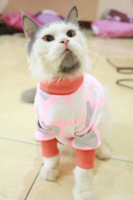 Kaos jumper lope-lope lucu untuk kucing dan anjing / baju kucing murah meriah size S M L XL