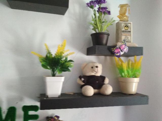 Ariani1318 Set Bunga Plastik Semanggi Dengan Pot Plastik Putih Bulat