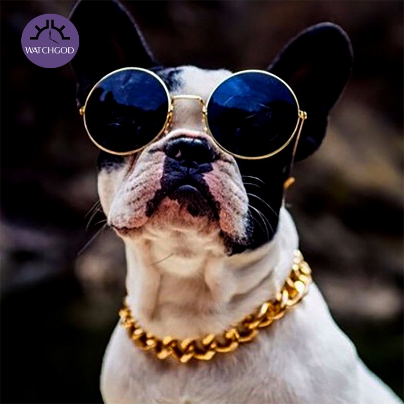 gold chain collar for small dog