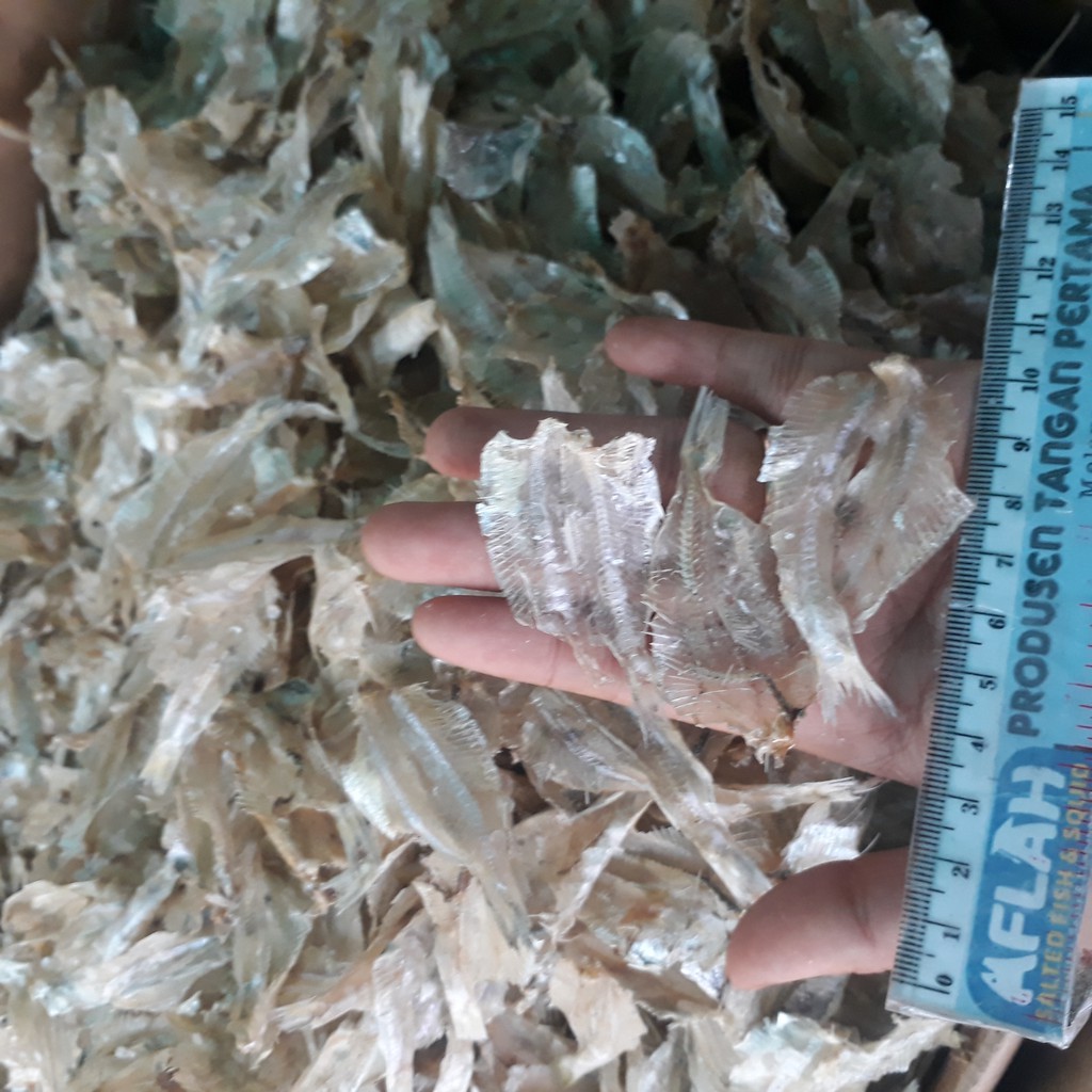 

PROMO Ikan Asin Tipis 500Gr / Kalapan Tawar Mentah Siap Masak / Ikan Asin Jakarta
