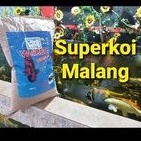 Wellred Koi Gainen 15KG 15 KG ML Well Red Pakan Ikan Warna Color Grow