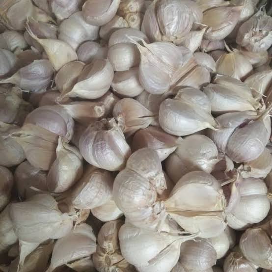

01F1S Bawang Putih Kating Import 500Gr Fsfs201