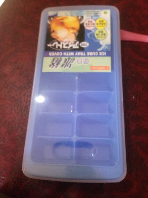 Yoshikawa Cetakan Es Dengan Tutup Set Isi 2 Buah Be3310 Warna Random