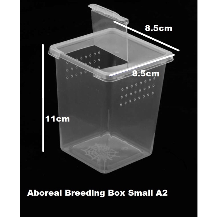 TERMURAH ARBOREAL SMALL Breeding Box Kotak Reptil 8.5x8.5x11cm Tarantula Insect AS