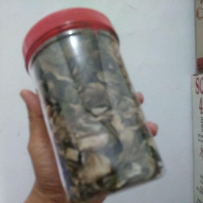 

daun bidara arab KERING