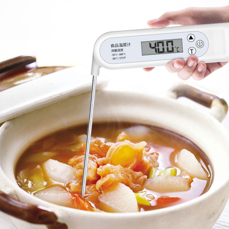 Btsg Termometer Digital Untuk Memasak Daging / BBQ