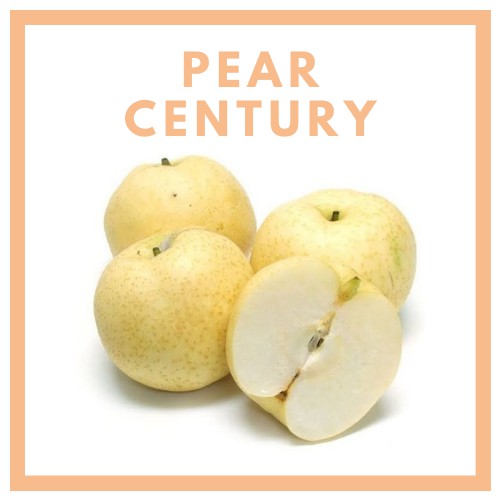 

Pear Century