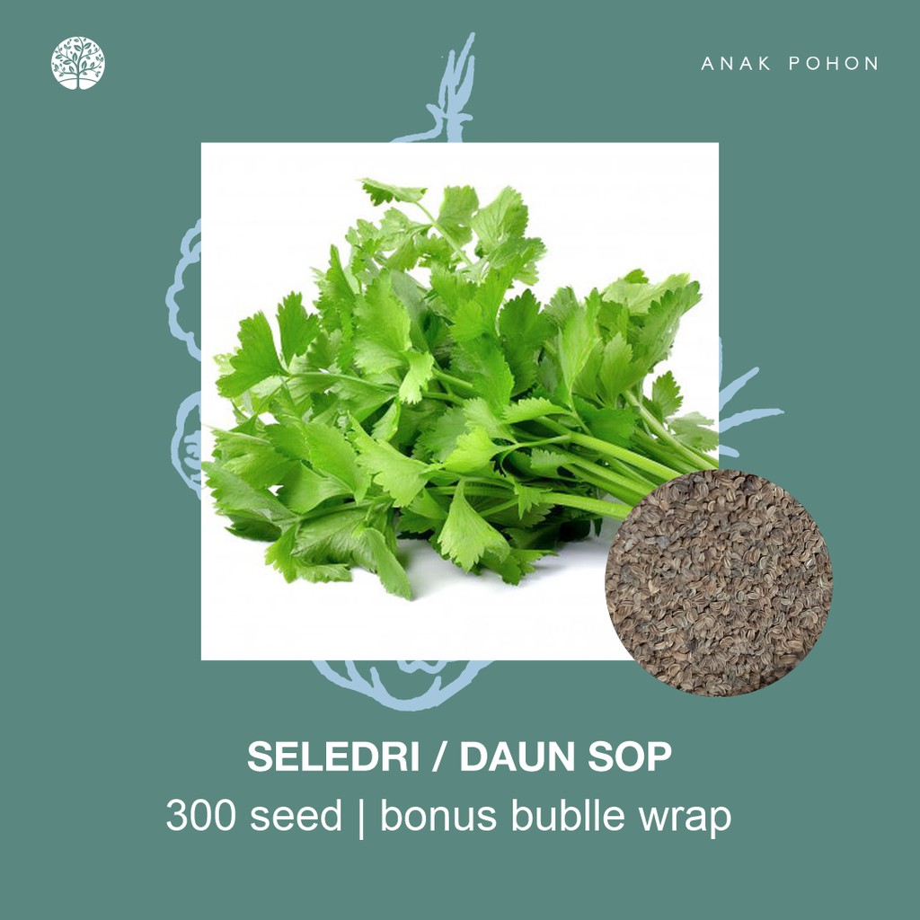 SERBA SERIBU - Benih Bibit Biji - Paket Benih Sayuran DAUN Termurah Kangkung Sawi Selada Seledri Kol-Seledri / Daun Sop