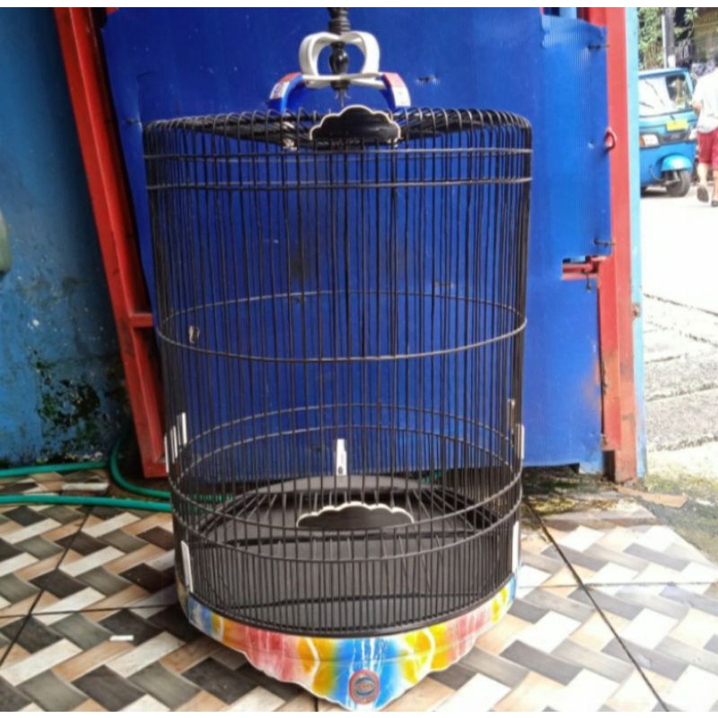 Sangkar Murai RAFI JAYA Rainbow