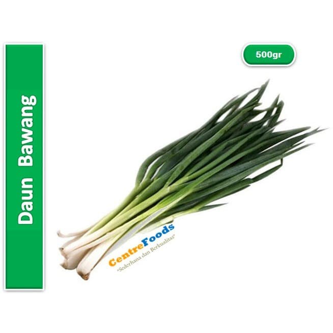 

Daun Bawang - Java Fresh | 500gr [ Harga Per 0,5 Kg ]