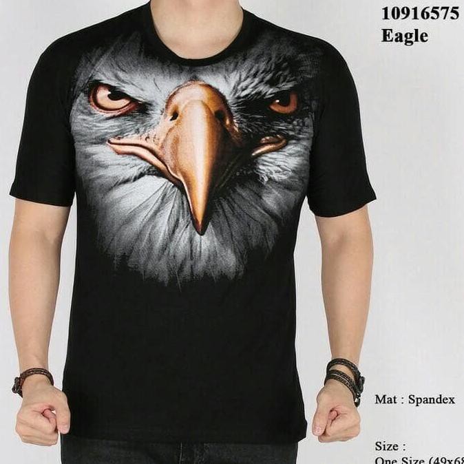 Download 560 Koleksi Gambar Elang Terbaru  Gratis