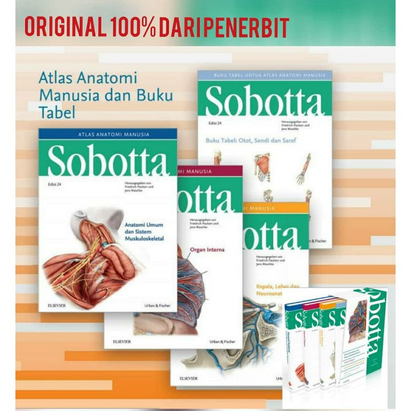 sobotta/atlas anatomi sobotta/buku kedokteran/edisi 24