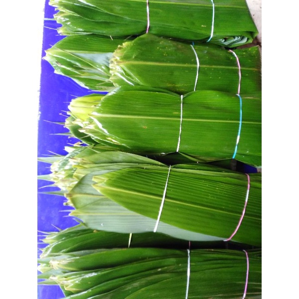 

daun bambu ukuran besar segar 400 per lembar