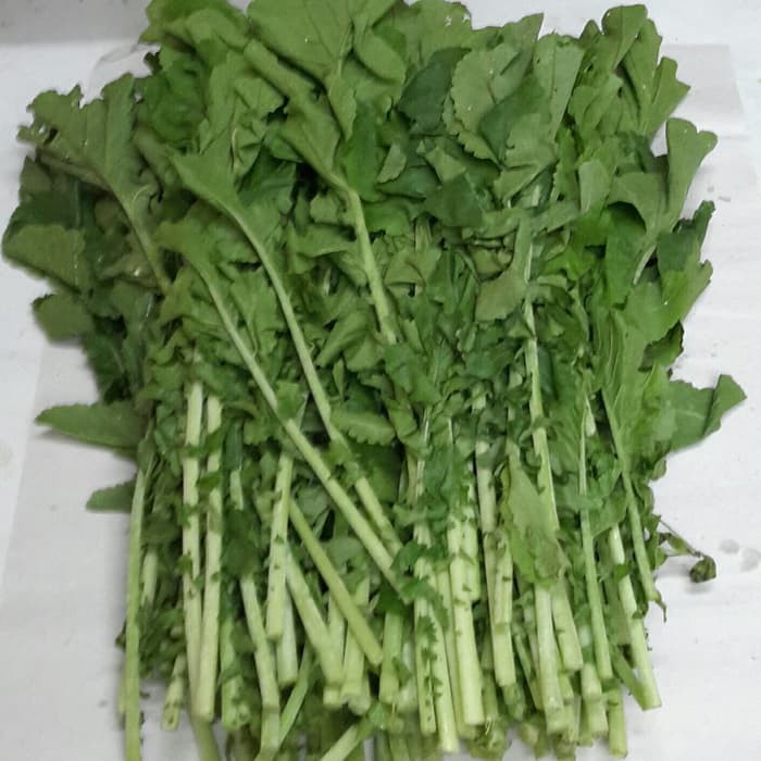 Daun Lobak Putih Organik / Organic Radish Leaves 200g