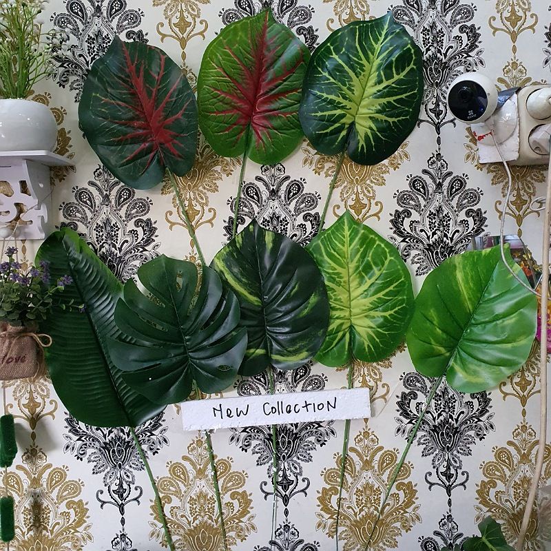 Daun Monstera / Daun Keladi Single Bahan Latex