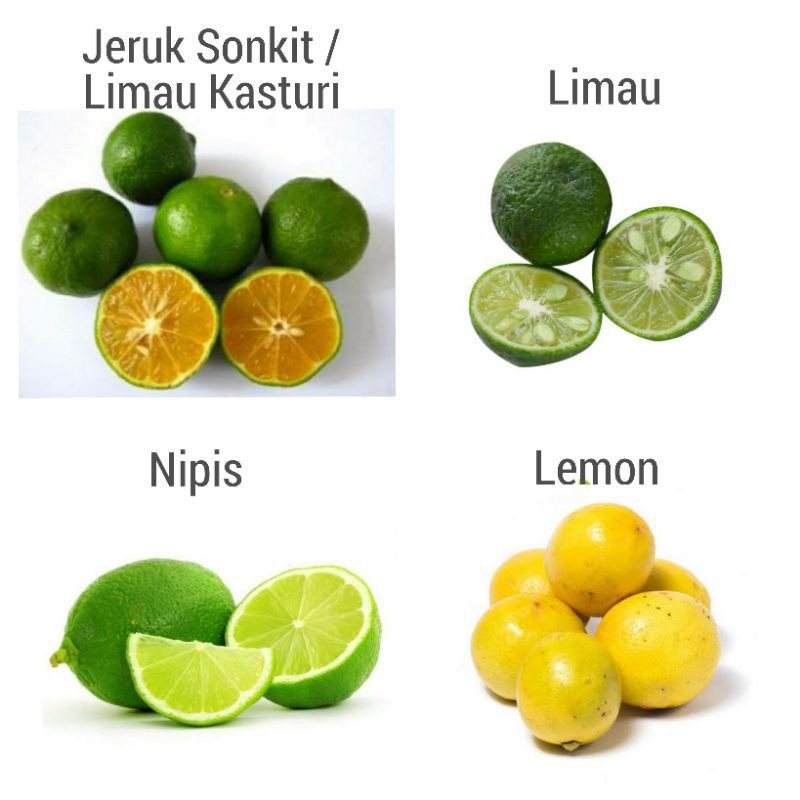 

Jeruk peras / Jeruk sonkit / Limau Kasturi / Jeruk Limau / Jeruk Nipis / Lemon