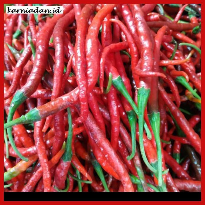 

Aneka-Sambal- Cabe Merah Keriting Super -Pedeeeeeezzzzzzz.
