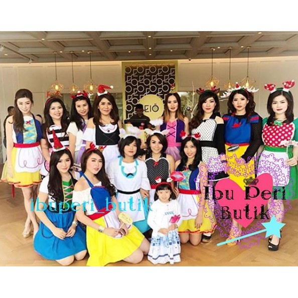 Apron Cinderella Dewasa &amp; Anak Celemek Kostum Disney Princess