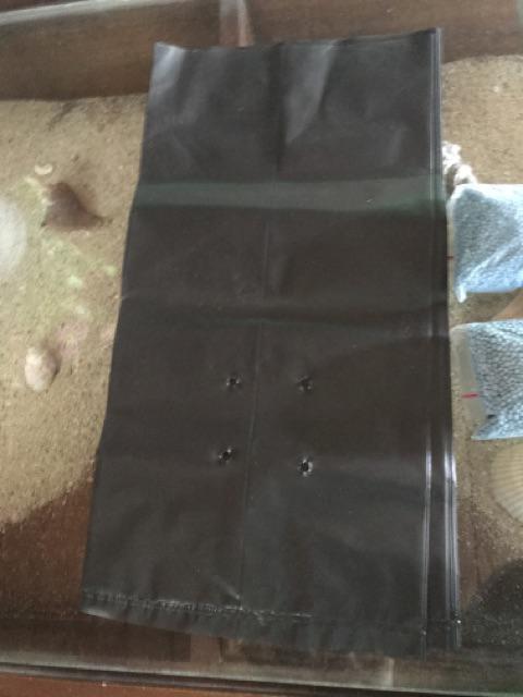 Polibek Polybag Uk 35