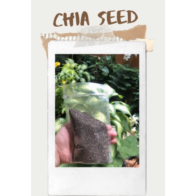 

chia seed 100gr