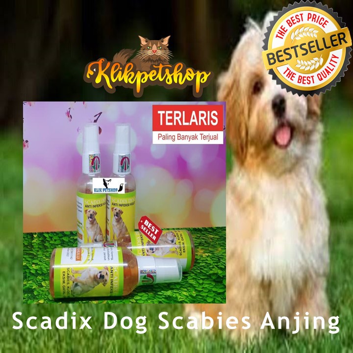 SCADIX DOG 60 ML Obat Anti Infeksi Kulit Skabies, Kudis, Koreng, Eksim, Gatal-gatal