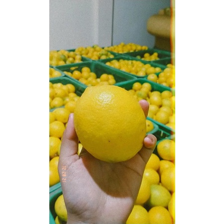 

lemon California fress grad AB kulaitas TOP