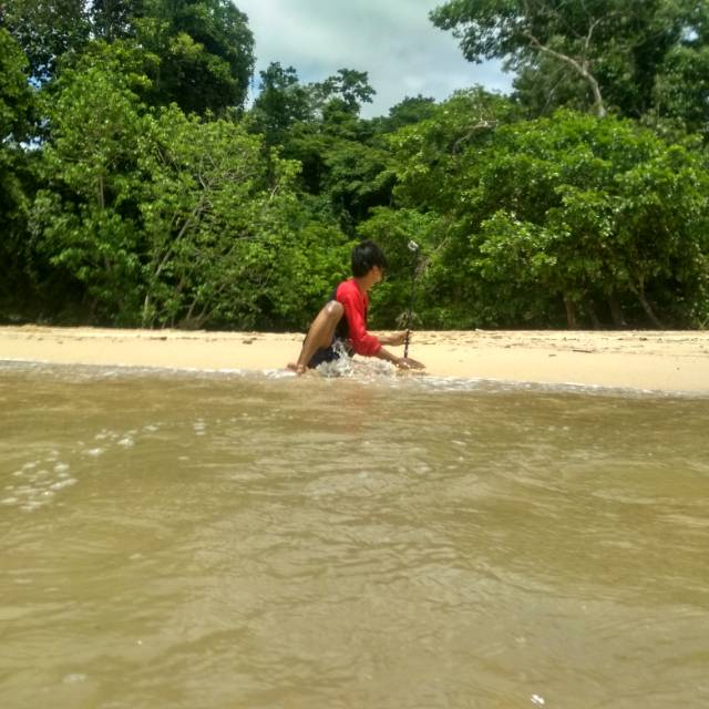 edoainurpp